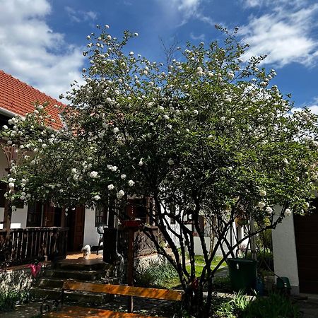 Magnolia Garden Lejlighed Miskolc Eksteriør billede