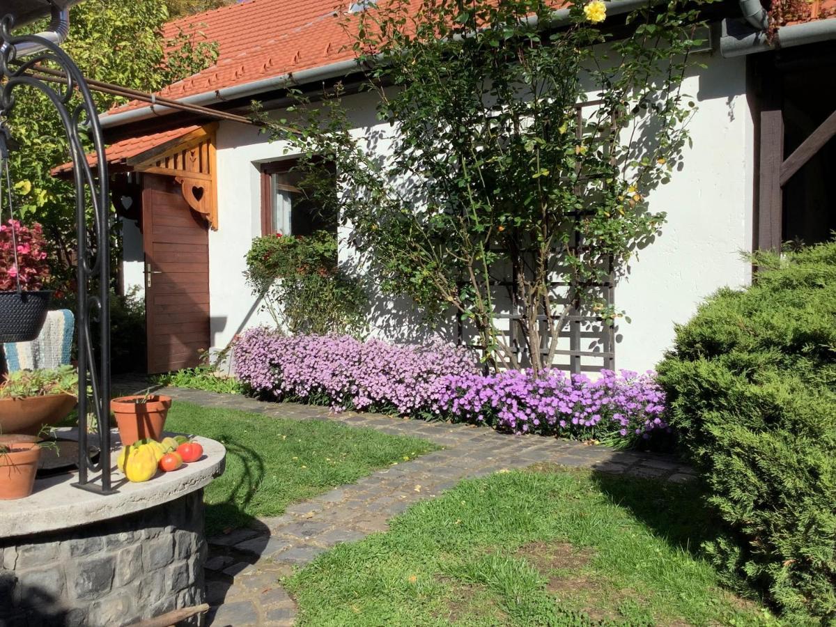 Magnolia Garden Lejlighed Miskolc Eksteriør billede
