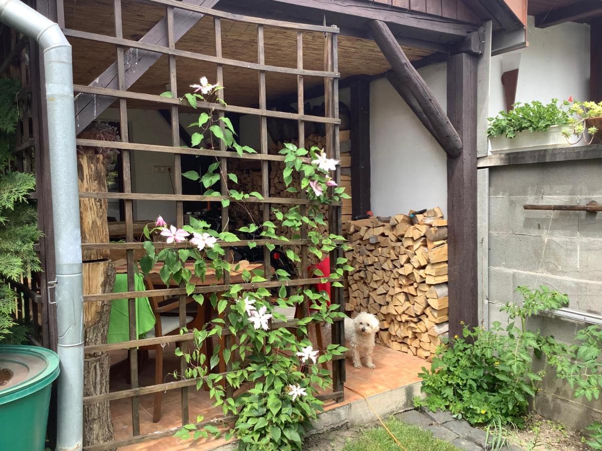 Magnolia Garden Lejlighed Miskolc Eksteriør billede
