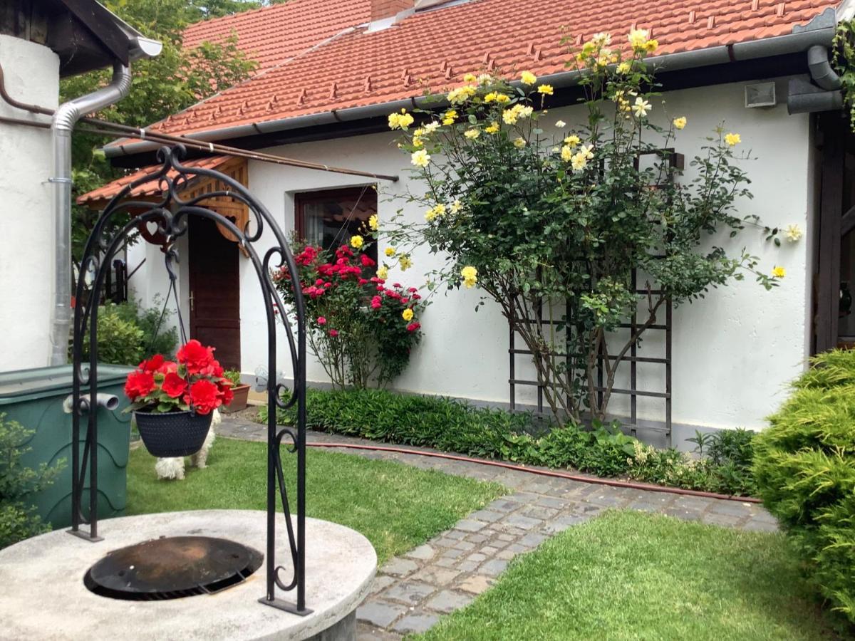 Magnolia Garden Lejlighed Miskolc Eksteriør billede